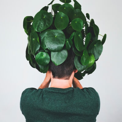 plants-store-gallery-img-3