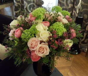 Plantes d'intérieur en boutique