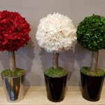 Hortensia stabilisé boutique Paris 7