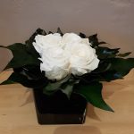 Fleurs stabilisées Paris 7 - Versade Fleurs