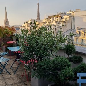 Plantes vertes boutique 75007