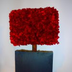 arbre carre plat 001