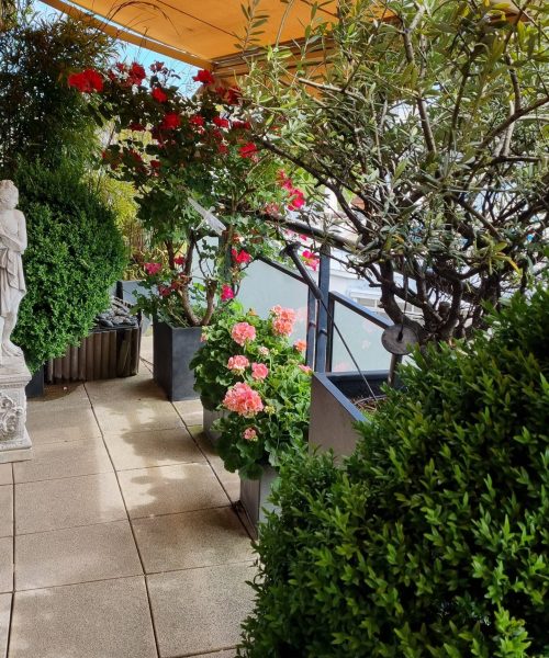 Plantes vertes boutique 75007