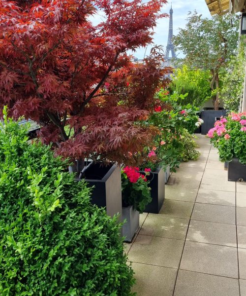 Plantes vertes boutique 75007