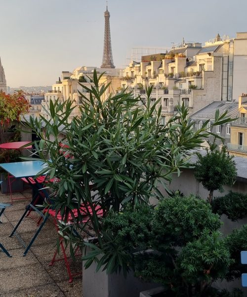 Plantes vertes boutique 75007