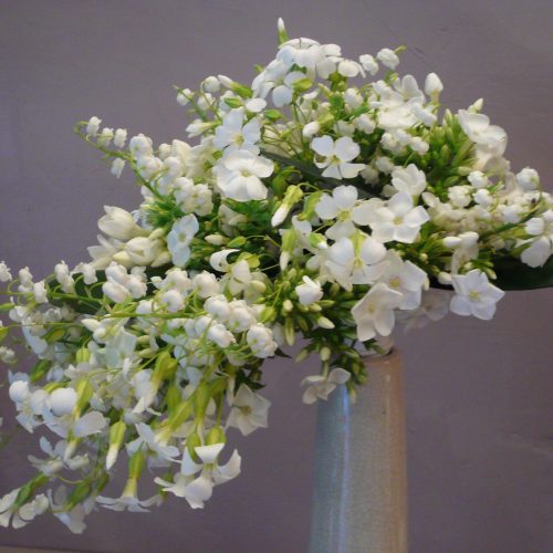 BOUQUET DE MARIEE MUGUET phlox scillen jasmin 008