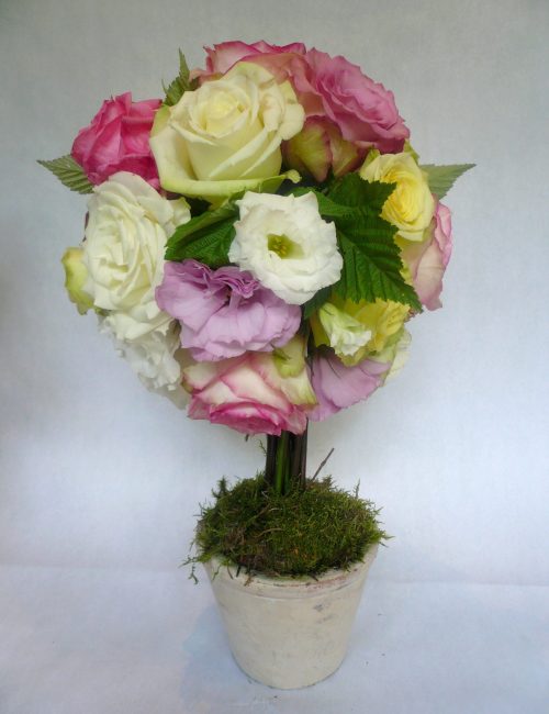 arbre 17 roses 90 eu