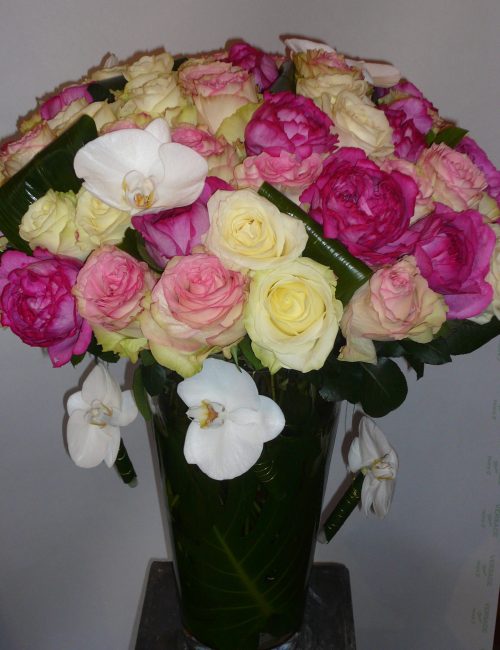 bq 80 roses 009